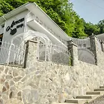 ластівчине гніздо